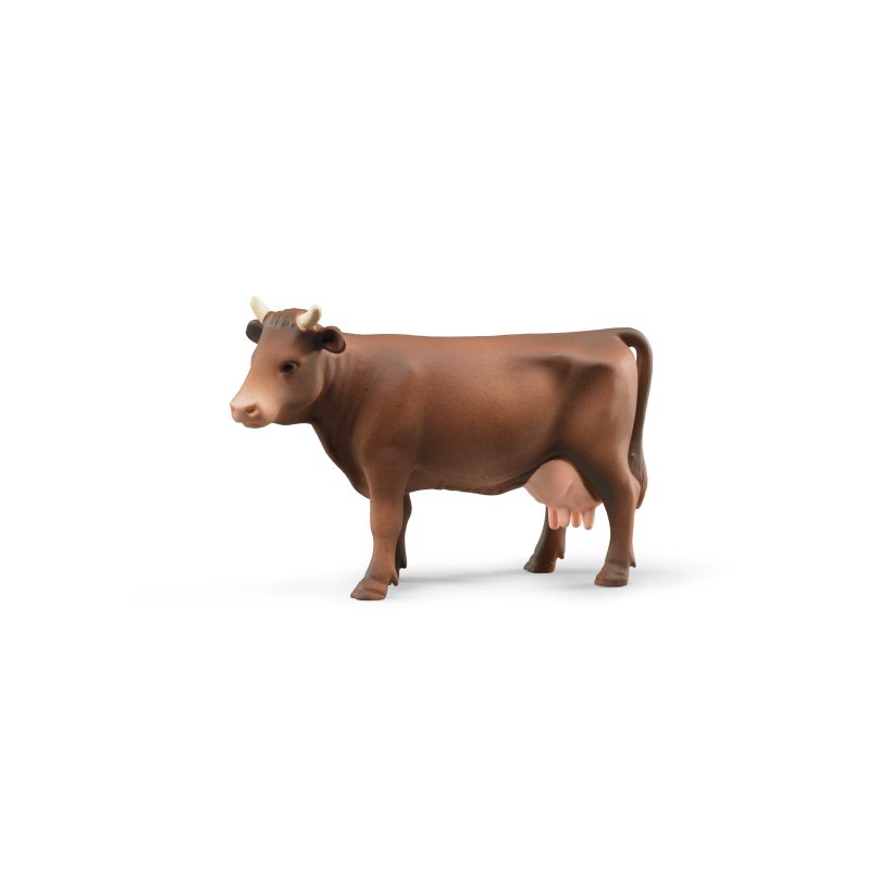 Vache